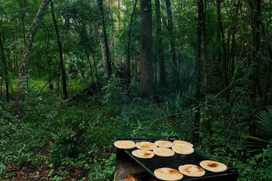 logs cut in the woods